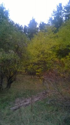 WP_20171020_003.jpg
