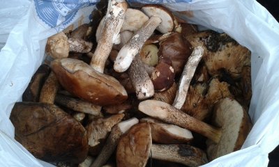 20171021_161950.jpg
