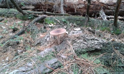 20171021_131017.jpg