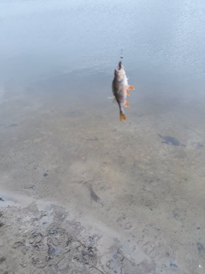 20171024_165041[1].jpg