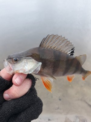 20171024_165148[1].jpg