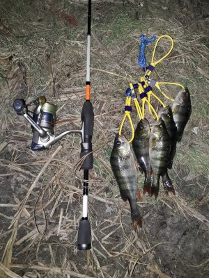 20171024_174500[1].jpg