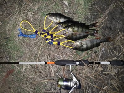 20171024_174443[1].jpg