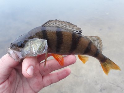 20171027_161131[1].jpg