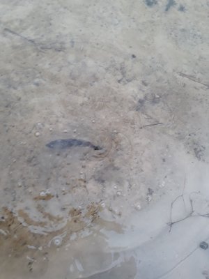 20171027_161142[1].jpg