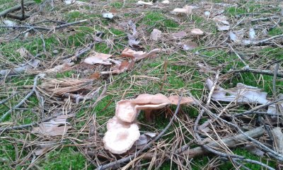 20171029_123743.jpg