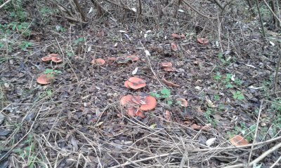 20171029_124946.jpg