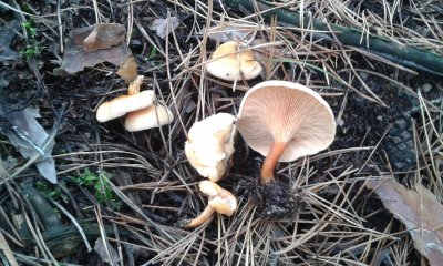 20171029_130537.jpg