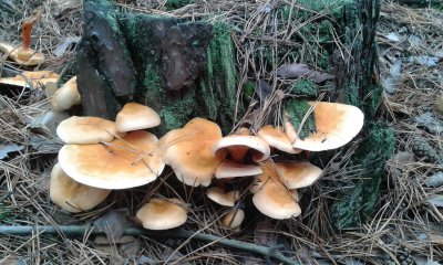 20171029_131637.jpg