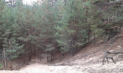 20171029_123234.jpg