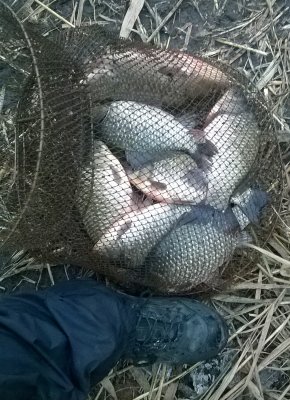 WP_20171019_010.jpg