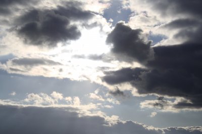 IMG_8137.JPG