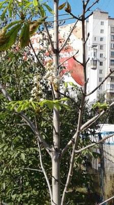 20170916_160702.jpg