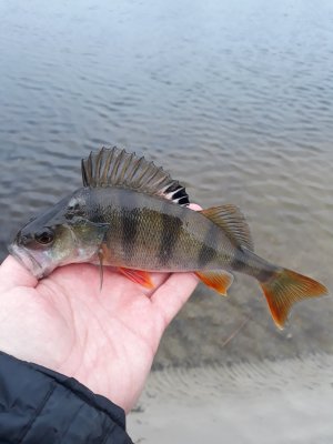 20171102_130342.jpg