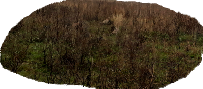 20171104_111430.png