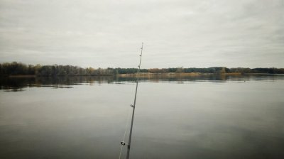 PHOTO_20171105_085019-01.jpeg