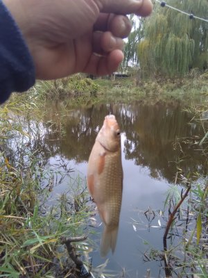 IMG_20171104_135919.jpg