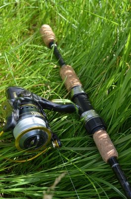 DSC_1249.JPG