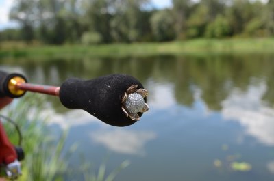 DSC_1217.JPG