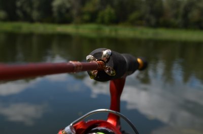 DSC_1224.JPG