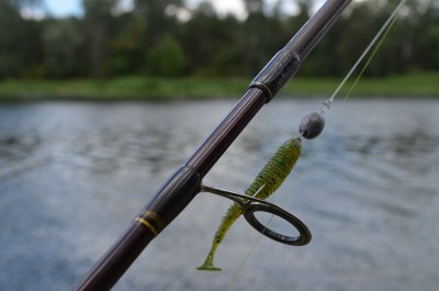 DSC_1231.JPG