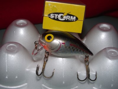 STORM SUB WART 5.JPG