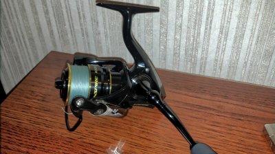 IMG_20171107_165008.jpg