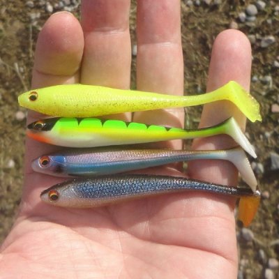 duckfin-shad-fb.jpg