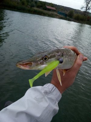 IMG_20171001_170004.jpg