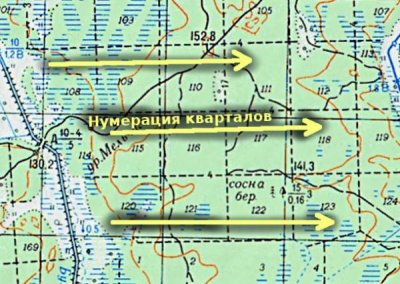 Квартальная карта.jpg