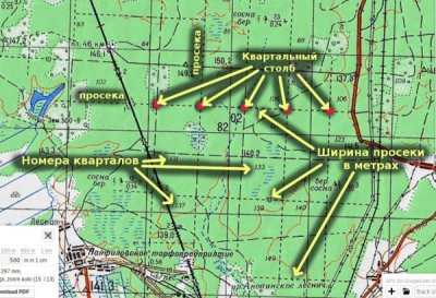 Кварталы.jpg