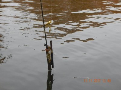 DSCN6043 800.jpg