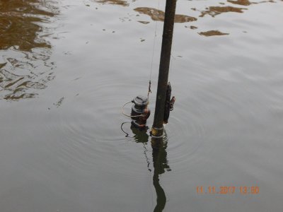 DSCN6044 800.jpg