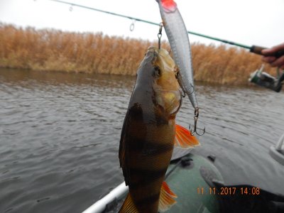 DSCN6046 800.jpg