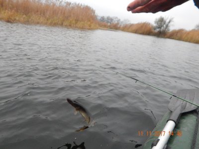 DSCN6057 800.jpg