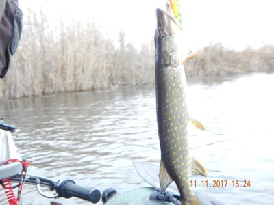 DSCN6061 800.jpg