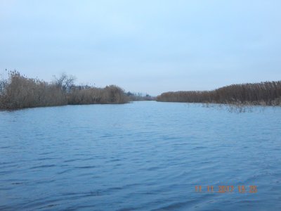 DSCN6064 800.jpg