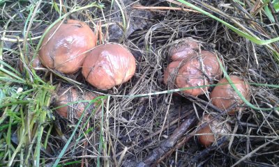 20171111_122415.jpg