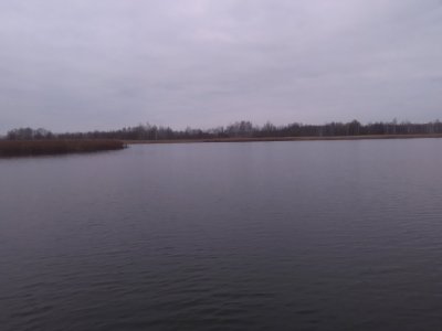 IMG_20171116_131159.jpg
