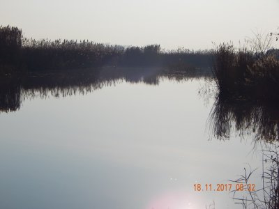 DSCN6104 800.jpg