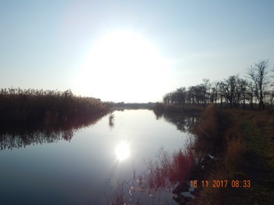 DSCN6109 800.jpg
