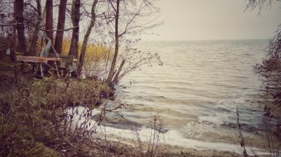 PHOTO_20171119_140629-01.jpeg