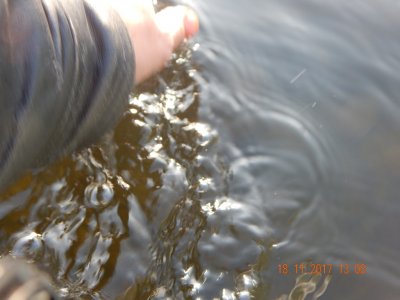 DSCN6126 800.jpg