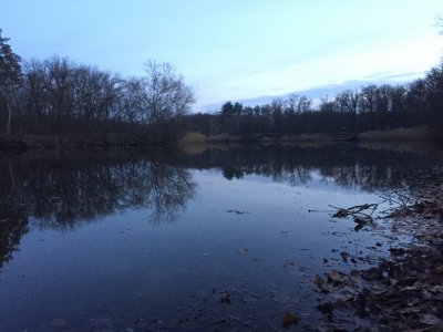 IMG_7503[1].JPG