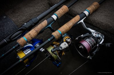 DAIWA @ FAVORITE.JPG