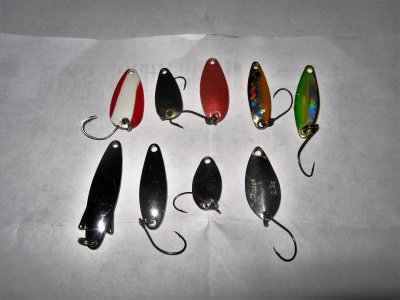 IMG_9831.JPG