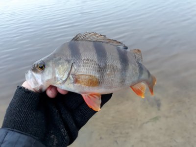 20171217_093804.jpg