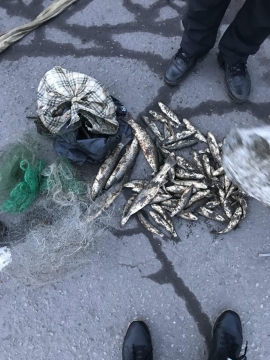 12_04_azov1.jpg