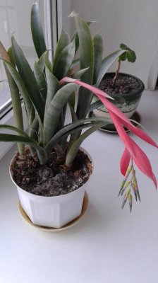 20171225_115158.jpg