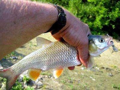 Реэкспонирование Изменение размера IMG_3597.jpg